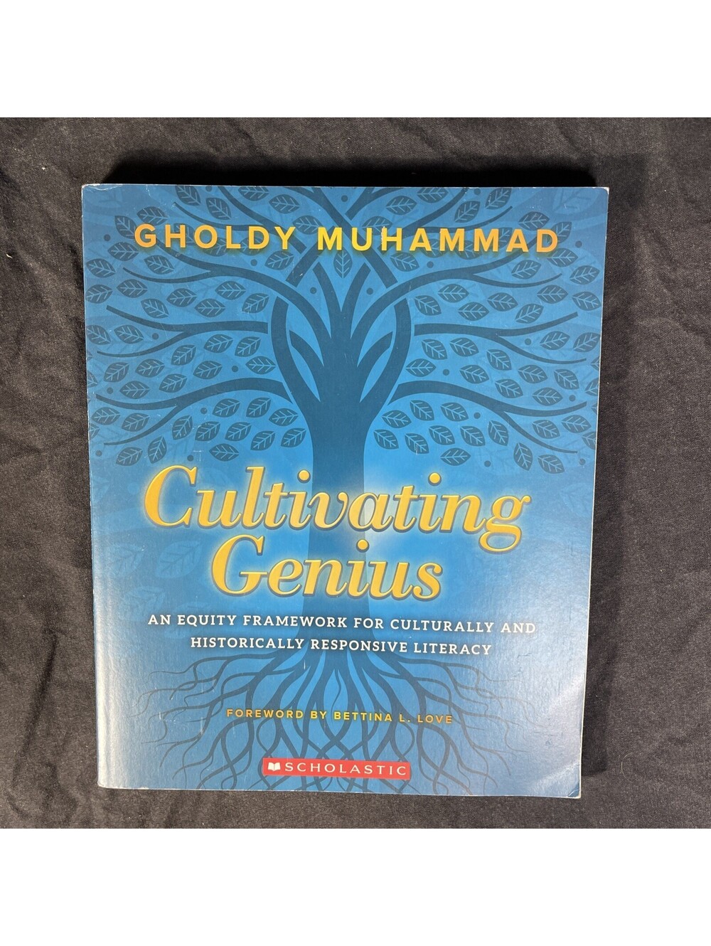Cultivating Genius: An Equity Framework for Culturally and Historically Response